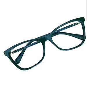 Swarovski Women's Sunglasses SK6004 (no lenses)